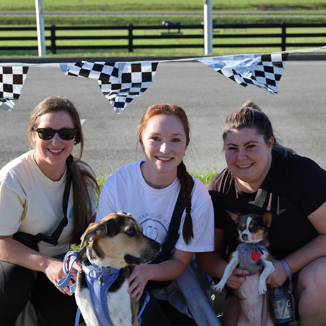 students together with 2 dogs