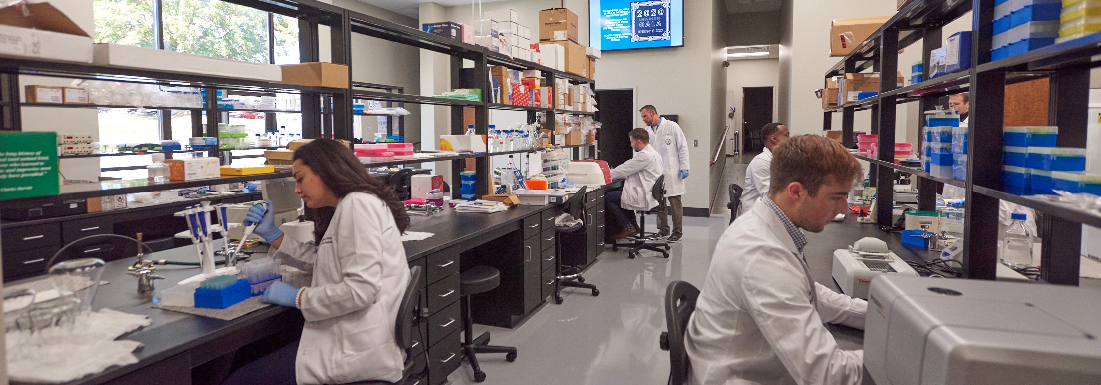 students performing research in a lab