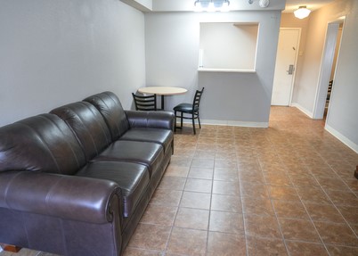 living room and dining table