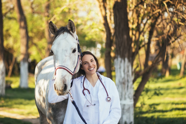 stock photo of DVM with horse