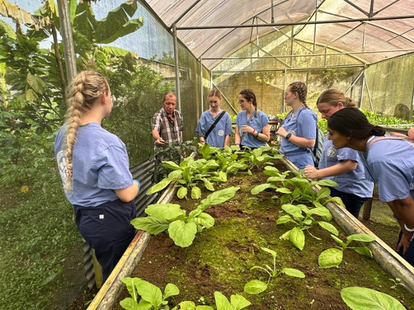 DCOM students working with plants on medical mission trip to Costa Rica